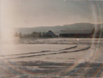 Original image